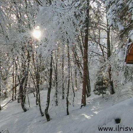Casa Nella Natura Il Risveglio Degli Elfi Педавена Екстериор снимка