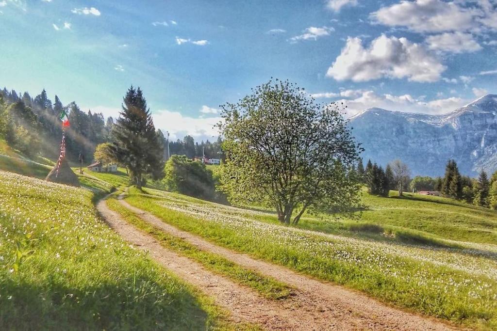 Casa Nella Natura Il Risveglio Degli Elfi Педавена Екстериор снимка